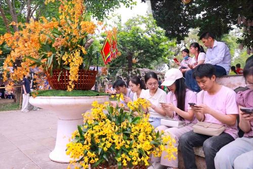 Nhiều bạn trẻ hào hứng “check-in” bên những tác phẩm lan nghệ thuật độc đáo. Ảnh: Hoàng Hùng – TTXVN