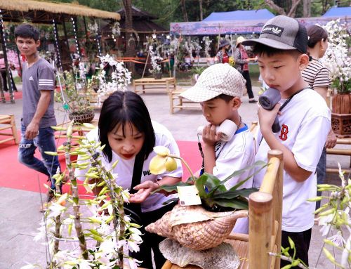 Du khách say mê chiêm ngưỡng vẻ đẹp tinh tế của các loài lan quý. Ảnh: Hoàng Hùng – TTXVN