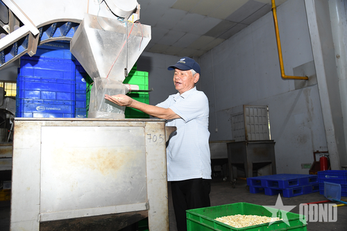 CCB Nguyễn Đức Thanh kiểm tra chất lượng đầu ra của hạt điều.