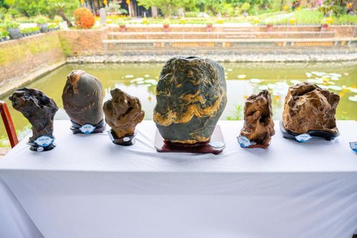 Từ ngày 24 đến 28-4, hàng ngàn tác phẩm phong lan, cây kiểng, đá cảnh của hơn 600 nghệ nhân từ 3 miền đất nước được trưng bày tại khu di sản Đại nội Huế, góp phần tạo điểm nhấn cho khách tham quan trong những ngày lễ