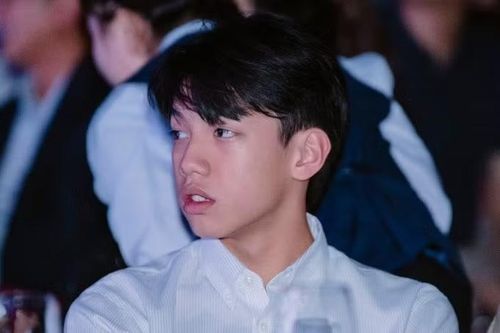 Từ nhỏ, cậu nhóc đã theo học tại các trường quốc tế hàng đầu, sớm nói thành thạo tiếng Anh.
