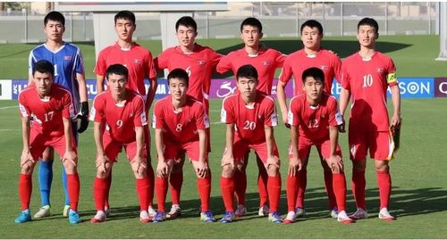 Đáng chú ý, U17 Triều Tiên nhiều khả năng sẽ không tham dự VCK U17 châu Á 2026. Ảnh: AFC.