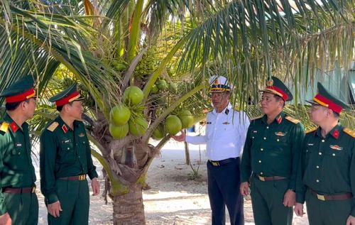 Tới đây đoàn công tác ai cũng nâng niu thành quả của các chiến sĩ Hải quân trên đảo Núi Le C.