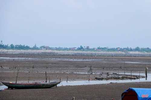 Những bãi nuôi ngao vốn nhộn nhịp, nay trở nên vắng bóng người.