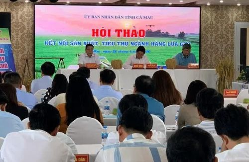 Hội thảo “Kết nối sản xuất, tiêu thụ lúa gạo”, nhằm làm sáng tỏ những “nút thắt” trong chuỗi liên kết sản xuất và tiêu thụ lúa, gạo trong thời gian qua.