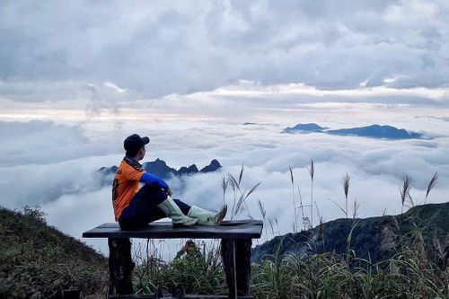 Theo anh Ninh Chính, người trẻ hiện ưu tiên các cung trekking ngắn ngày, dễ tiếp cận gần Hà Nội. Ảnh: Tú Trinh/BNEWS/TTXVN