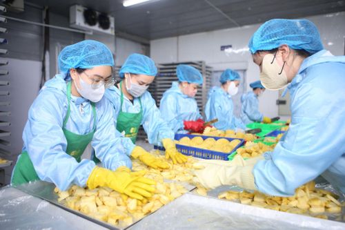 Doanh nghiệp Lâm Đồng chế biến nông sản phục vụ thị trường xuất khẩu