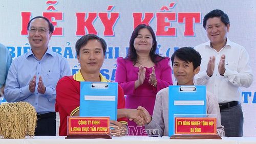 Tại hội thảo, nhiều doanh nghiệp và hợp tác xã đã ký kết các biên bản ghi nhớ và hợp đồng liên kết, bao tiêu sản phẩm lúa gạo.