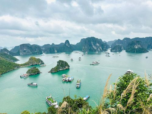 Du khách tham gia hải trình 7 tiếng trên vịnh Hạ Long được trải nghiệm trọn vẹn nhiều cảnh quan đẹp như ngắm vịnh từ trên cao trên đảo Ti Tốp. Ảnh: Hoàng Lân.
