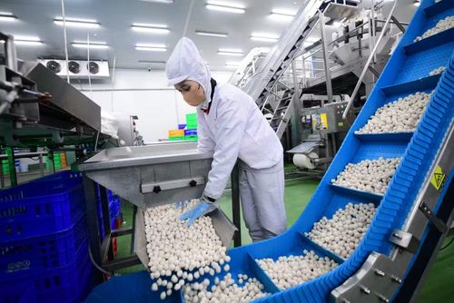 Doanh nghiệp hiện cần đồng thời giải ba bài toán: Cơ cấu nguồn vốn hợp lý giữa vốn vay và vốn tự có; quản trị dòng tiền chặt chẽ; và tập trung đầu tư vào những lĩnh vực cốt lõi có khả năng tạo lợi thế cạnh tranh dài hạn. (Ảnh: Đỗ Bảo)