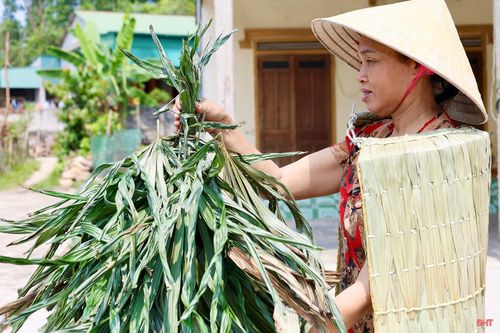 Tôi biết làm áo tơi từ năm 14 tuổi. Ngày ấy, tôi đang là cô học trò nhỏ, tranh thủ những lúc tan trường ngồi bên mẹ, học cách cầm kim, chuốt mây và xếp những lớp lá đầu tiên. Những đường kim mũi chỉ tỉ mỉ của mẹ đã khơi dậy trong tôi tình yêu với nghề chằm áo tơi.