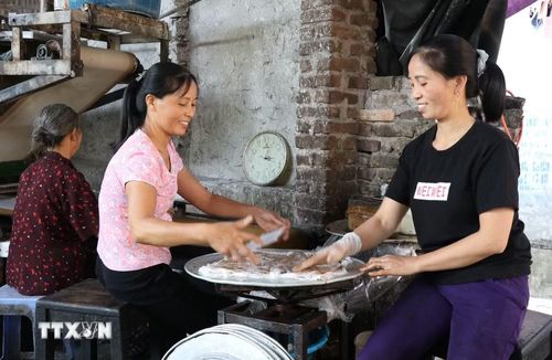Người dân xã Mão Điền làm bánh cuốn. (Ảnh: Thái Hùng/TTXVN)