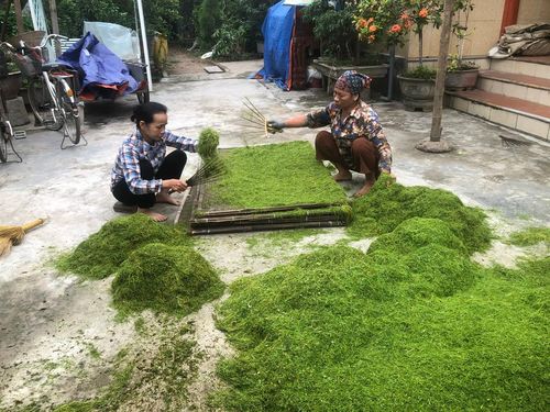 Sau khi những cuộn lá thuốc được thái thành sợi sẽ phơi rải trên những chiếc phên tre và đem phơi nắng.