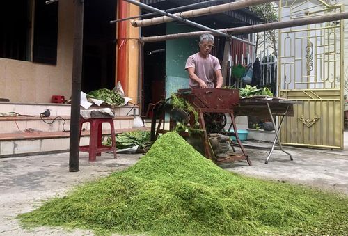 Ngày nay, nhờ áp dụng kỹ thuật thái bằng máy hỗ trợ, nhưng người thợ vẫn phải canh chừng từng chút để sợi thuốc không bị nát.