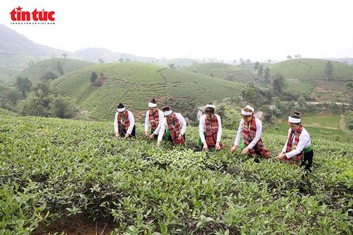 Sau khi hành hương về Đền Hùng, nhiều du khách đã lựa chọn trải nghiệm các loại hình nghỉ dưỡng sinh thái cộng đồng tại các khu điểm tham quan khác.