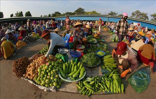 Không bàn ghế, không sạp, mỗi người một rổ, một bạt đặt ngay dưới đất. Ảnh: Duy Khương/TTXVN