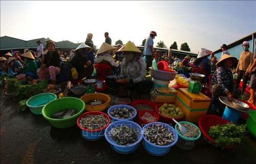 Rau vườn, trái cây là cây nhà, cá là bắt dưới mương lên còn tươi xanh. Ảnh: Duy Khương/TTXVN