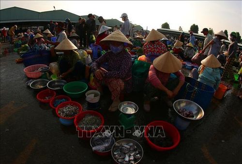 Hàng hóa bày bán ngay ngắn, thẳng hàng, gọn gàng và có trật tự. Ảnh: Duy Khương/TTXVN