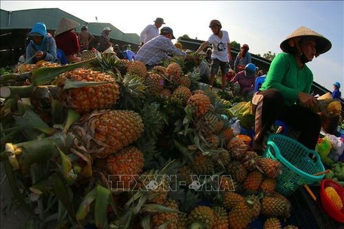 Đặc sản khóm Cầu Đúc nổi tiếng của Cần Thơ tại khu chợ. Ảnh: Duy Khương/TTXVN