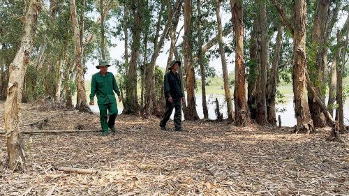 Công tác tuần tra tại Vườn quốc gia Tràm Chim diễn ra xuyên suốt - Ảnh: Bùi Nguyên