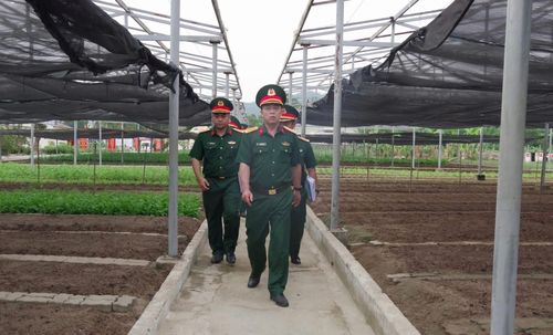 Đoàn công tác Bộ Chỉ huy Quân sự thành phố thăm khu tăng gia sản xuất của Trung đoàn 971. Ảnh: MINH THY