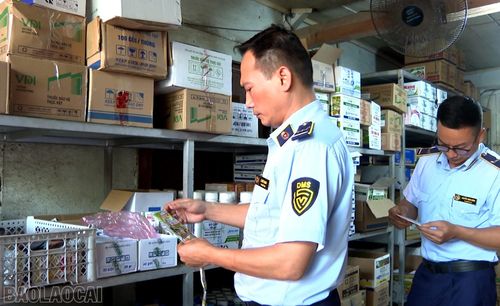 Kiểm tra cửa hàng kinh doanh thuốc bảo vệ thực vật tại xã Bảo Thắng.