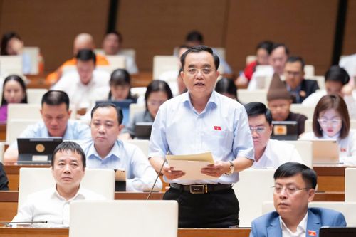ĐBQH Huỳnh Ngọc Liêm - Phó Giám đốc Công an tỉnh tham gia thảo luận tại hội trường trong khuôn khổ Kỳ họp thứ nhất