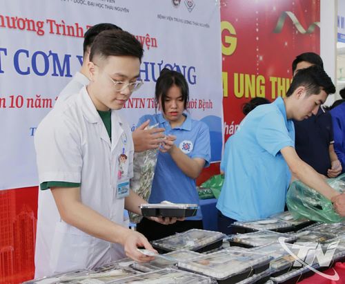 Lăng Nguyễn Hùng Anh tham gia một hoạt động tình nguyện.