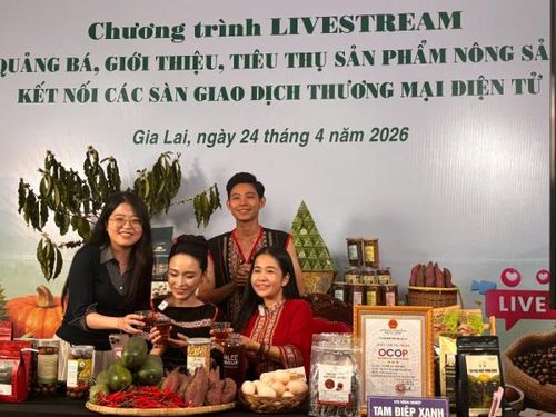 Đại diện các doanh nghiệp tự tin tham gia livestream cùng Hoa hậu Trương Hồ Phương Nga.