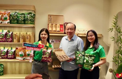 Chương trình “Sức sống hàng Việt” kết hợp trưng bày trực tiếp và livestream nhằm quảng bá nông sản, thực phẩm an toàn, đặc sản địa phương (OCOP) và nâng cao vị thế hàng Việt.
