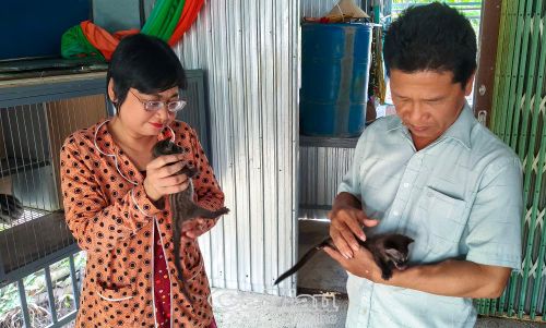 Mô hình nuôi chồn hương của ông Trần Văn Đức, ấp Gò Muồng, xã Phong Thạnh.