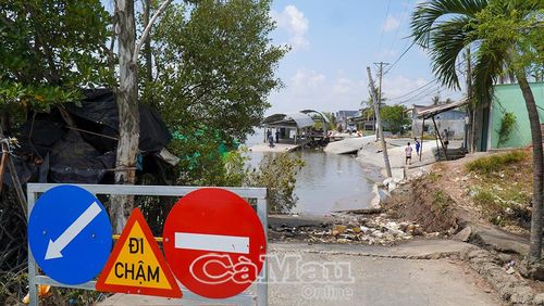 Khu vực sạt lở dài 70 m trên địa bàn xã Đầm Dơi gây thiệt hại ước tính trên 3 tỷ đồng.