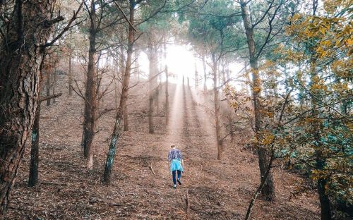 Núi Hàm Lợn là con đường treking lý tưởng cho các bạn trẻ. Ảnh: CTV.