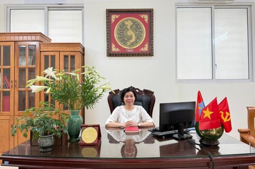 ThS.BSCKII Nguyễn Thị Minh Hải, Giám đốc Bệnh viện Phục hồi chức năng Hà Nội. Ảnh: Minh Hà