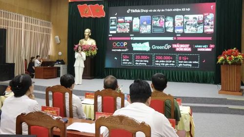 Phát huy hiệu quả năm 2025, vụ vải năm nay, Bắc Ninh tiếp tục đẩy mạnh quảng bá, bán vải trên các sàn thương mại điện tử...