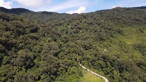 Hiện Việt Nam đang khẩn trương hoàn thiện khung pháp lý để vận hành sàn giao dịch carbon vào năm 2029. (Ảnh: Đỗ Bảo)