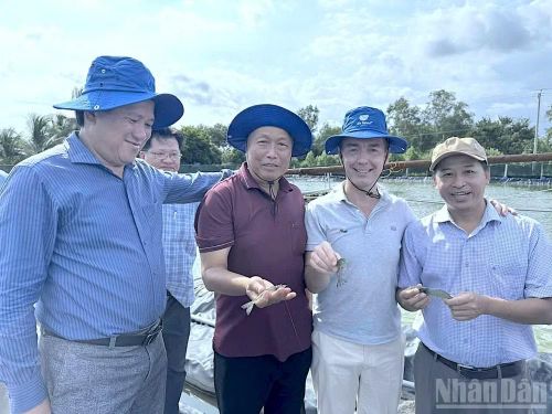 Tiến sĩ Quách Văn Ấn (bìa phải) tham quan mô hình nuôi tôm siêu thâm canh 3 giai đoạn ứng dụng công nghệ tuần hoàn, an toàn sinh học tại xã Thanh Tùng, tỉnh Cà Mau.