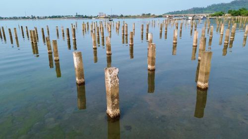 Hàng nghìn cọc bê-tông bị bỏ hoang gần hai thập kỷ ở đầm Lập An.