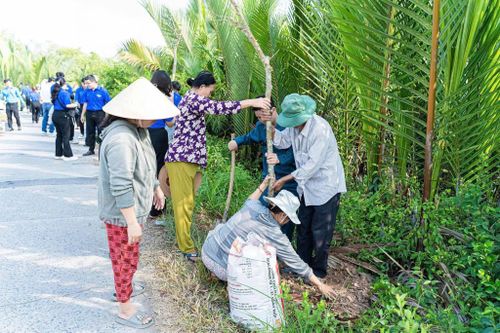 Hội Nông dân phường Bình Quới (TPHCM) tổ chức ra quân trồng cây xanh, vệ sinh môi trường trong tháng 3-2026