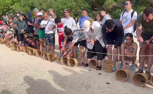  Hoạt động thả rùa biển thu hút đông đảo người dân và du khách tham gia 