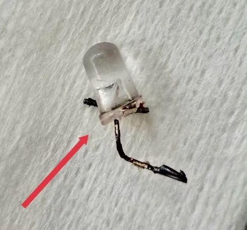 Dị vật đèn led được lấy ra an toàn - Ảnh BVCC