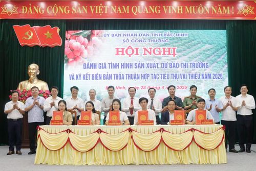 Các doanh nghiệp, hợp tác xã, đơn vị sản xuất, vận chuyển, tiêu thụ vải thiều ký biên bản thỏa thuận, hợp tác tiêu thụ vải thiều tỉnh Bắc Ninh năm 2026.
