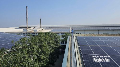 Pin năng lượng mặt trời trên mái nhà xưởng KCN Bắc Vinh. Ảnh: Nguyễn Hải