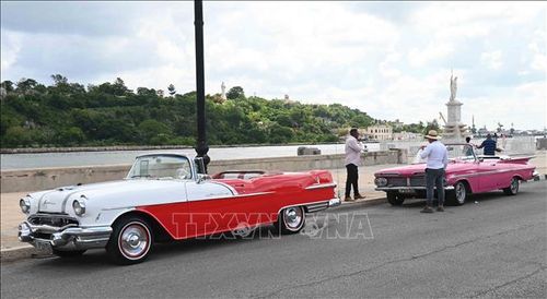 Xe cổ bên Vịnh La Habana.