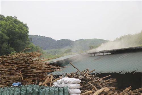 Khói bốc âm ỉ với mùi khét nồng nặc từ các lò đốt than xộc thẳng vào mũi, gây cảm giác ngột ngạt, khó thở. Ảnh: Đinh Thùy/TTXVN