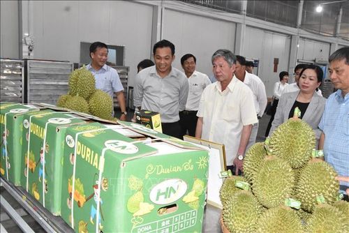 Lãnh đạo tỉnh Đồng Tháp khảo sát tình hình sản xuất, kinh doanh sầu riêng tại Công ty TNHH Huỳnh Nương, xã Ngũ Hiệp.