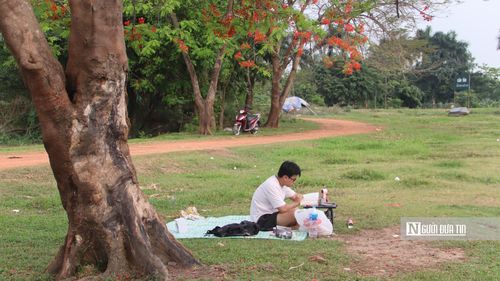 Anh Chu Hoàng Hải đọc sách dưới gốc cây phượng.