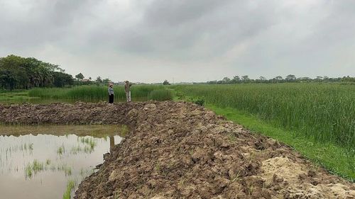 Khu vực gò Mui, thôn Lục Sơn, xã Hồ Vương bị bỏ hoang gây lãng phí tài nguyên.