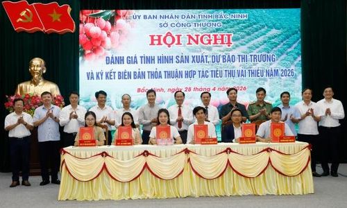  Các đại biểu chứng kiến nghi thức ký kết giữa doanh nghiệp, hợp tác xã, nhà vườn của tỉnh Bắc Ninh với các đơn vị, doanh nghiệp để vận chuyển, tiêu thụ vải thiều năm 2026. 