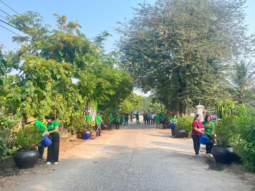 Hội Nông dân phường Bàn Thạch xây dựng các tuyến đường hoa, cây cảnh. Ảnh: HỒ QUÂN